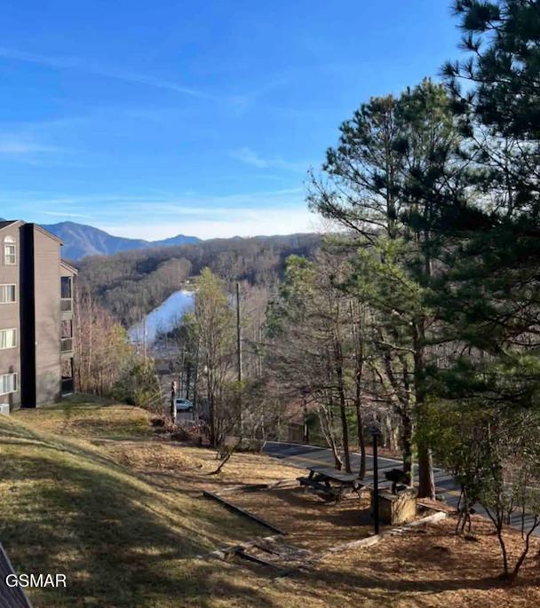 1380 Ski View Drive Gatlinburg TN 37738