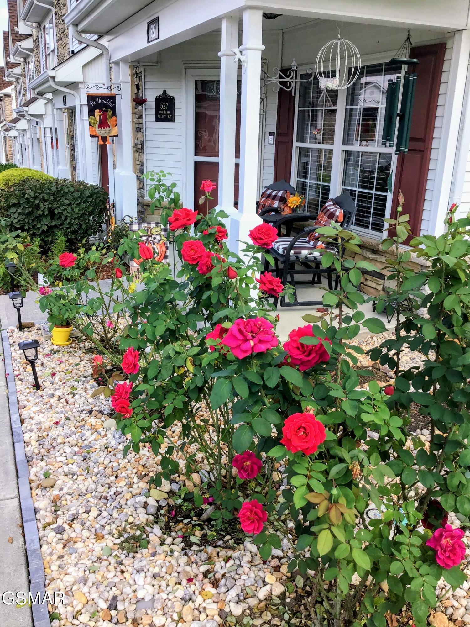 527 Orchard Valley Way Pigeon Forge TN 37862