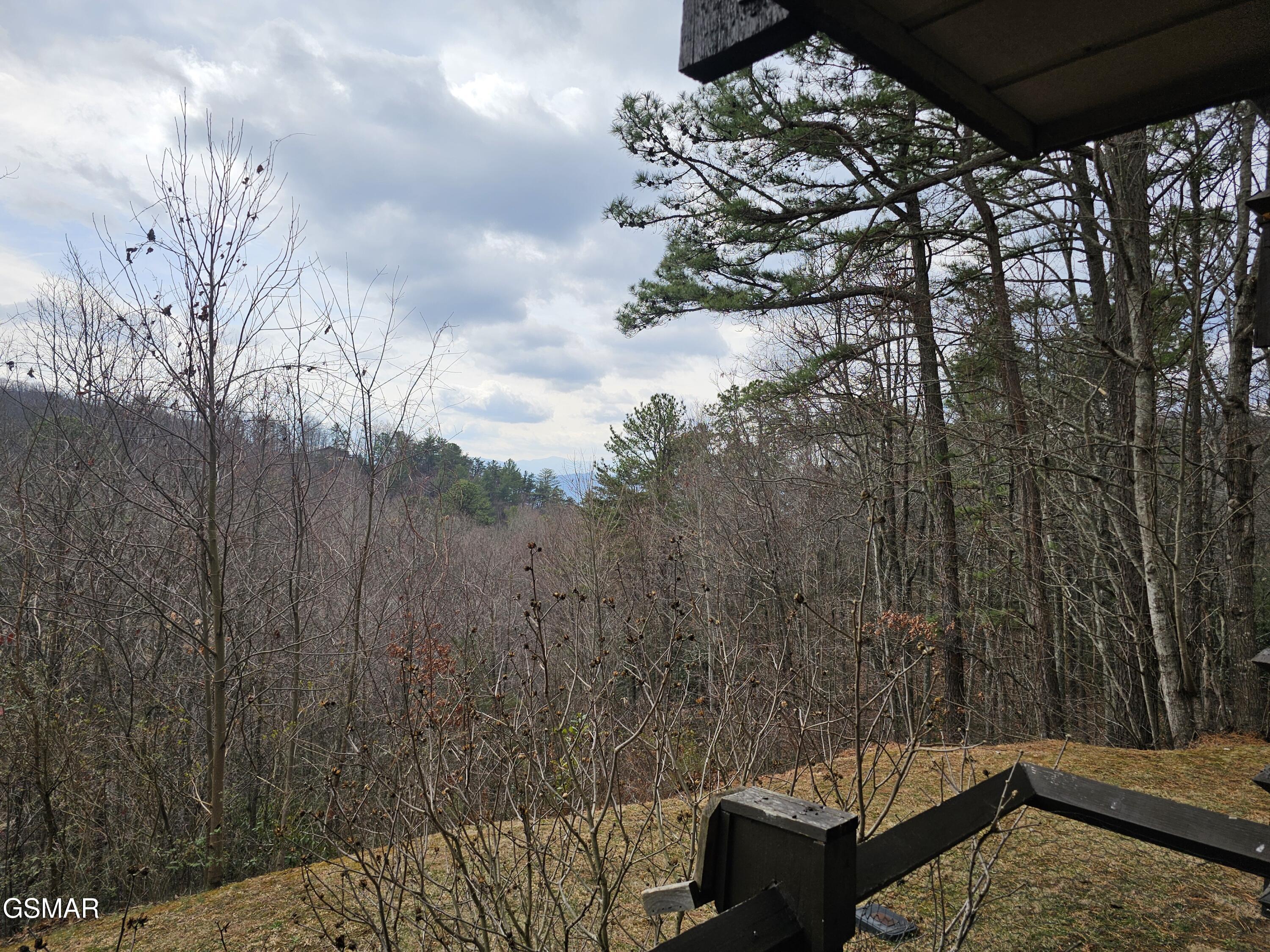 1081 Cove Road Sevierville TN 37876
