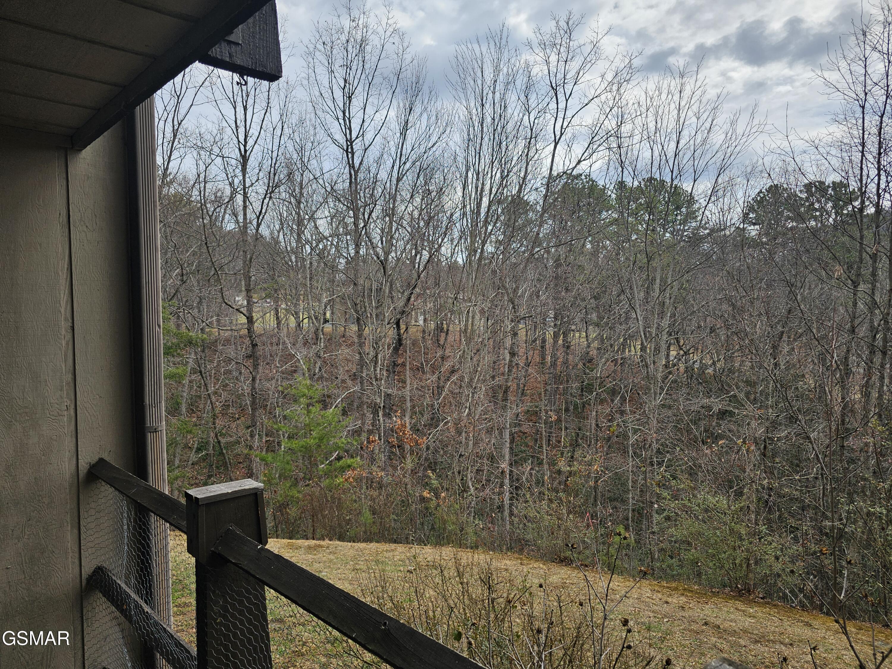 1081 Cove Road Sevierville TN 37876