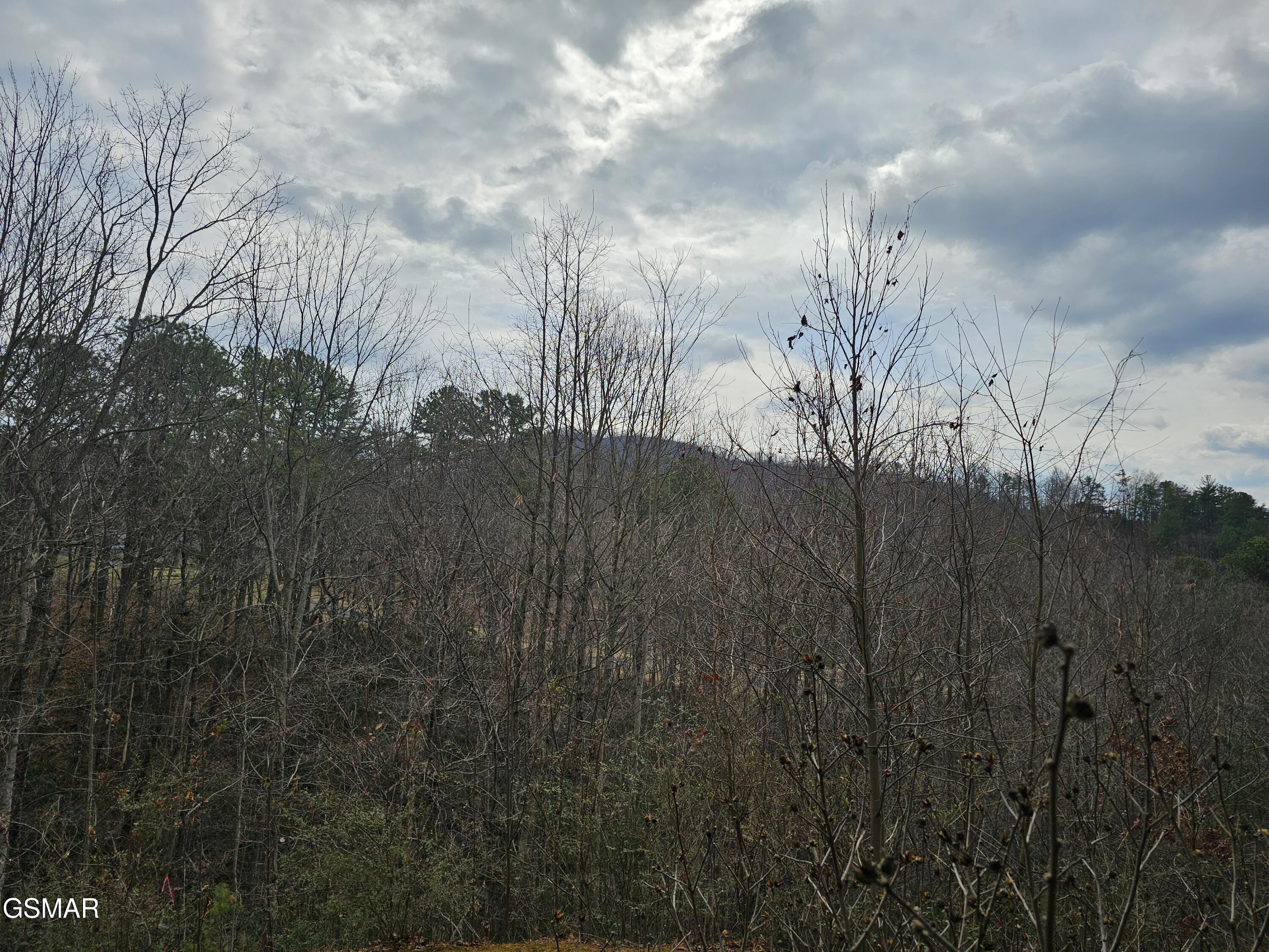 1081 Cove Road Sevierville TN 37876