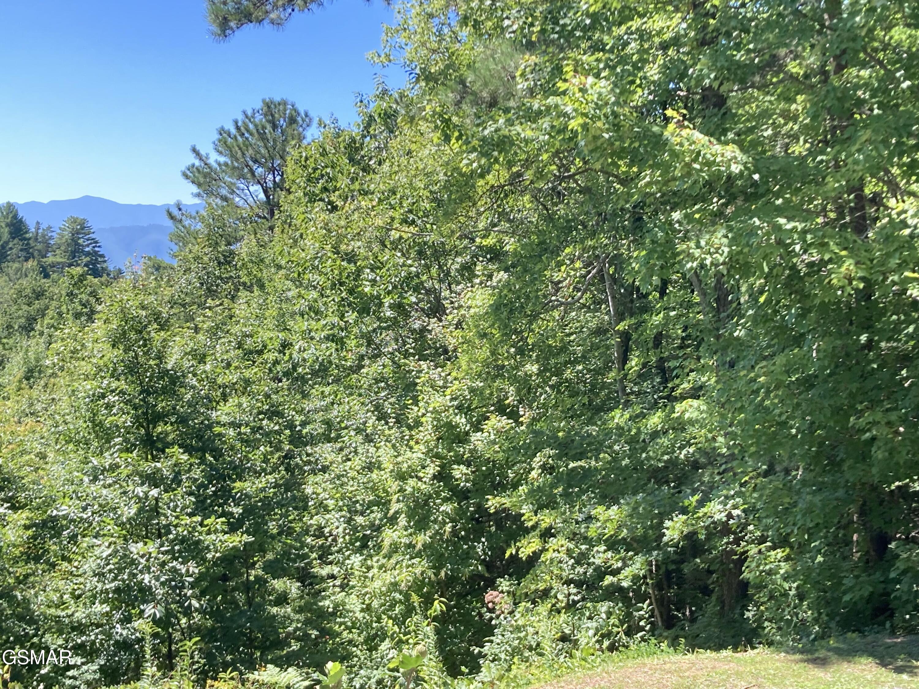 1081 Cove Road Sevierville TN 37876