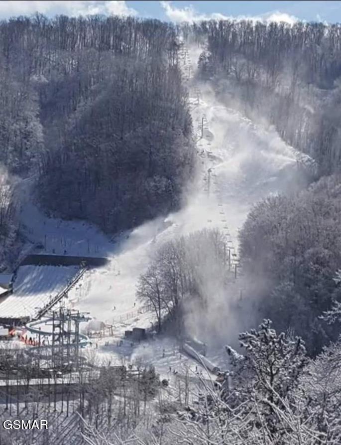 1260 Ski View Drive Gatlinburg TN 37738