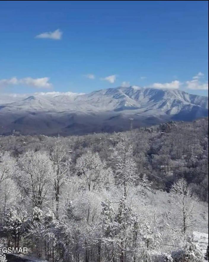 1260 Ski View Drive Gatlinburg TN 37738