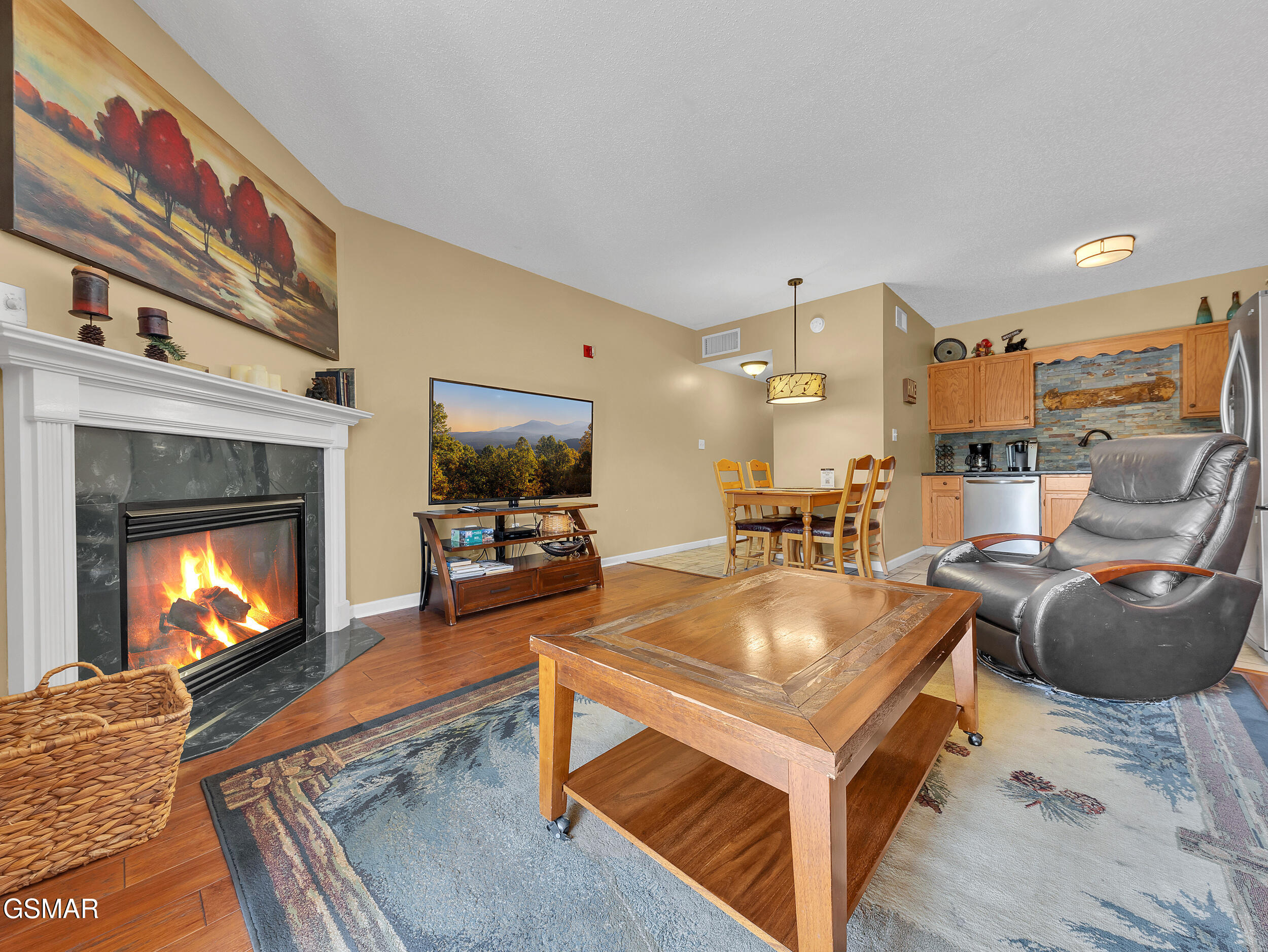 205 Ogle Drive Pigeon Forge TN 37863