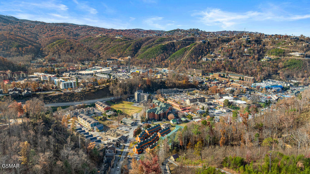 215 Circle Drive Gatlinburg TN 37738