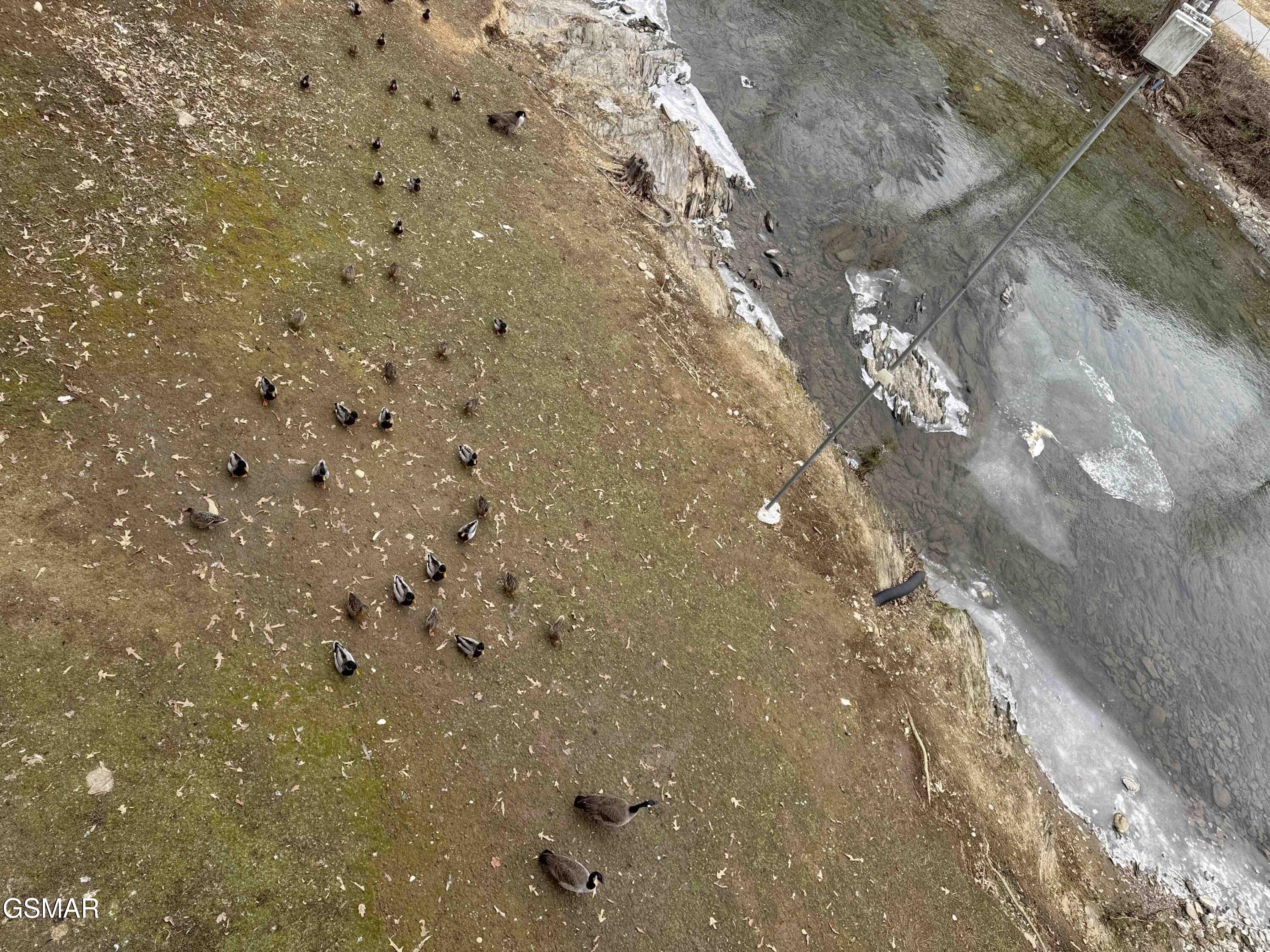 3215 N River Road Pigeon Forge TN 37863