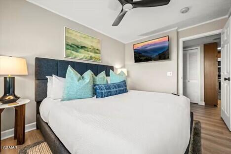 3710 Weber Road Gatlinburg TN 37738