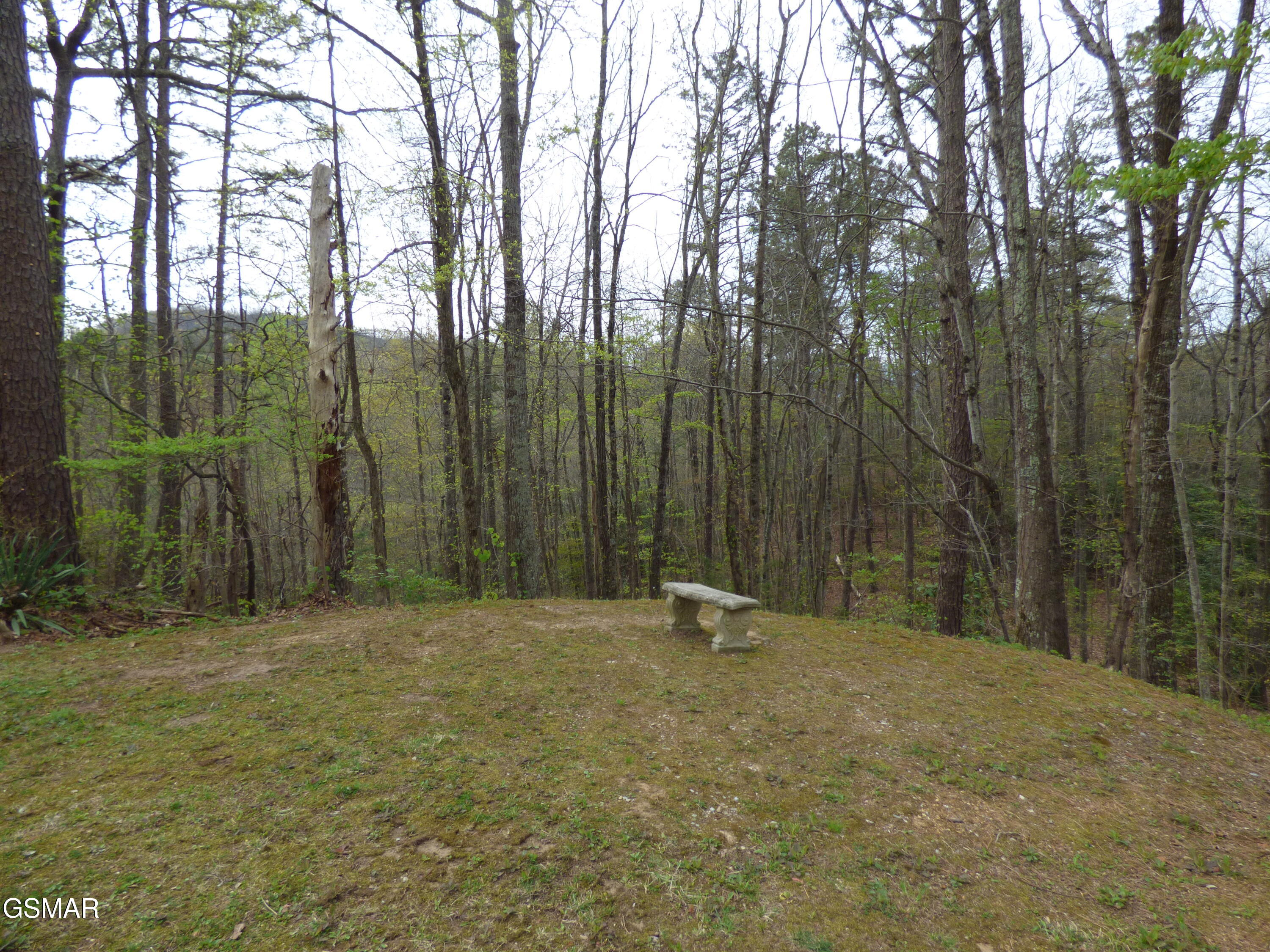 1081 Cove Road Sevierville TN 37876