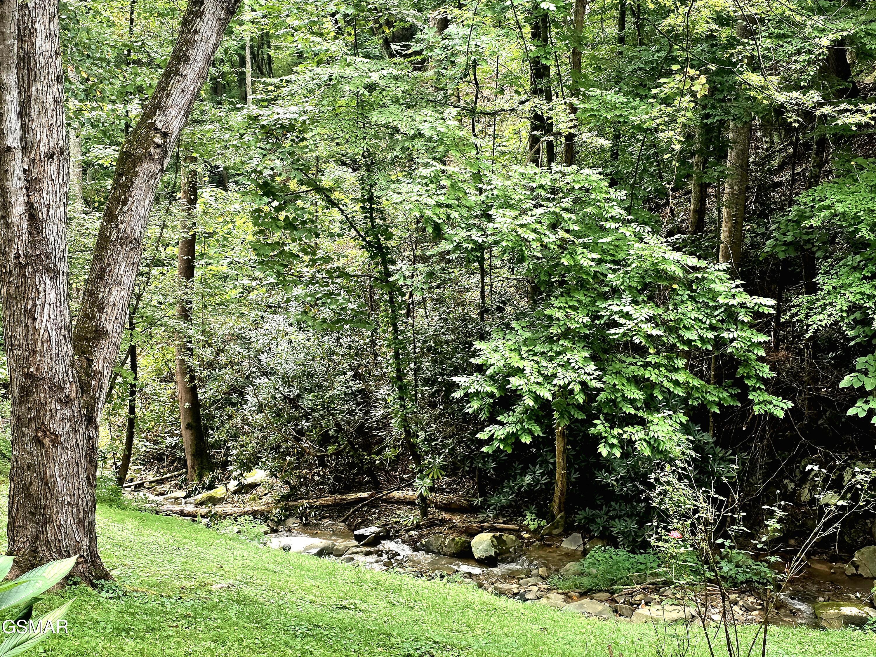 1435 Wiley Oakley Drive Gatlinburg TN 37738