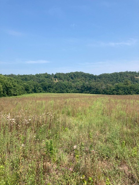 540 Henderson Road Pigeon Forge TN 37863