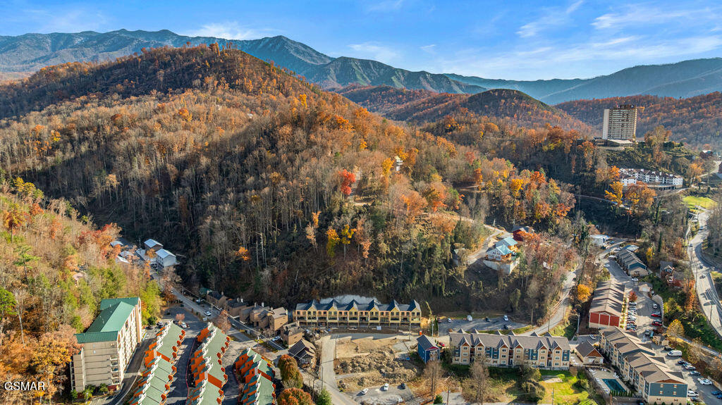 215 Circle Drive Gatlinburg TN 37738