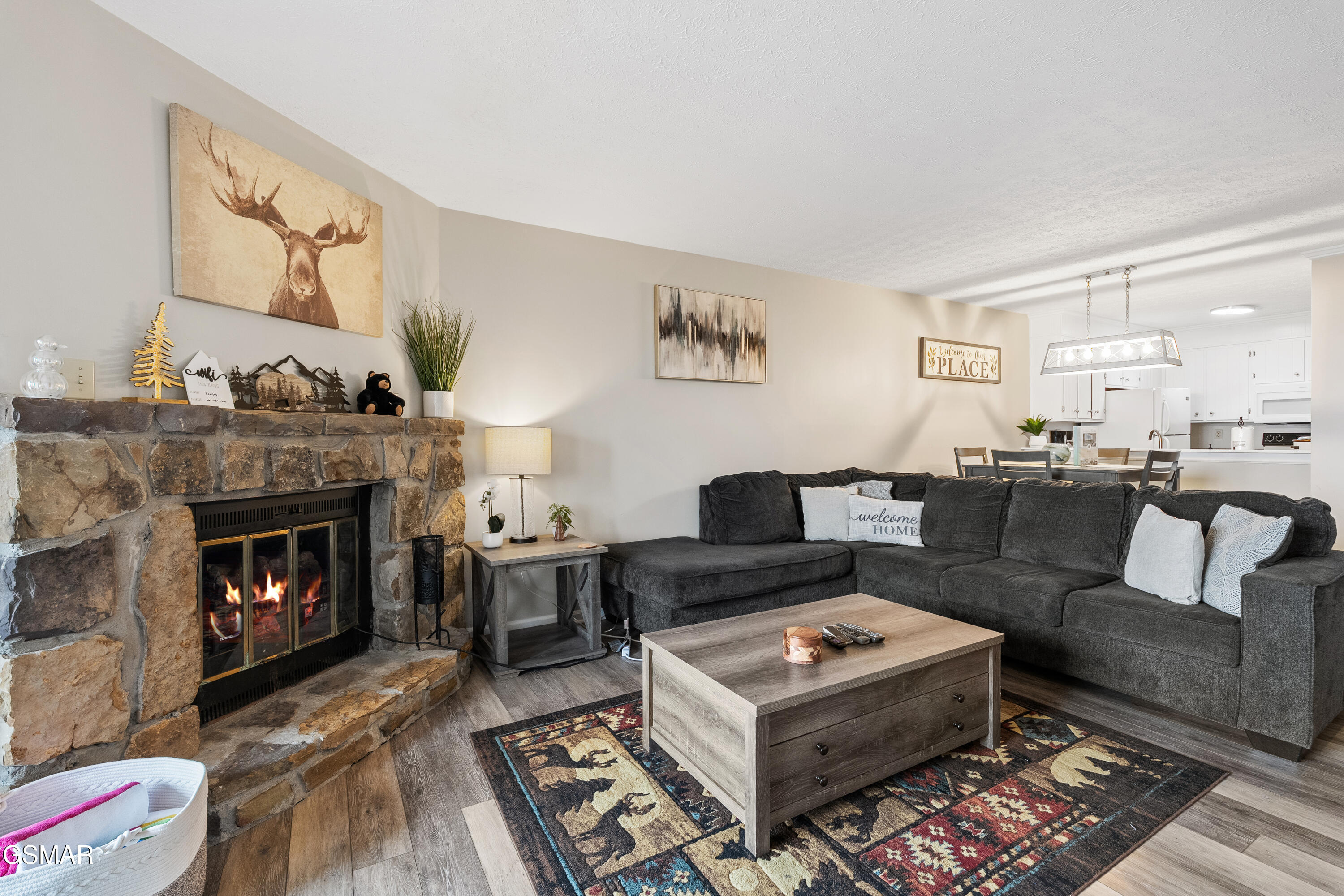 1102 Ski View Gatlinburg TN 37738