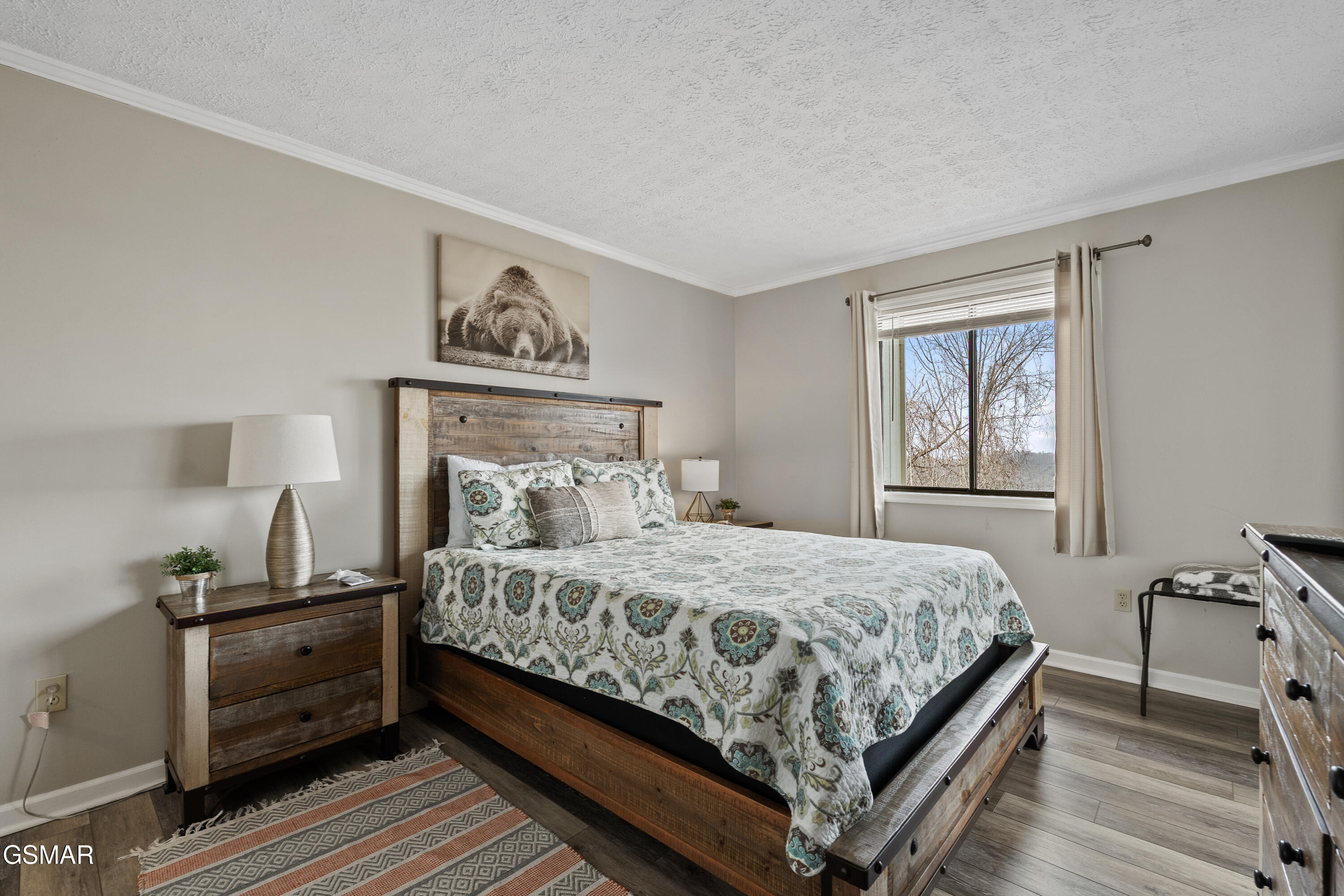 1102 Ski View Gatlinburg TN 37738