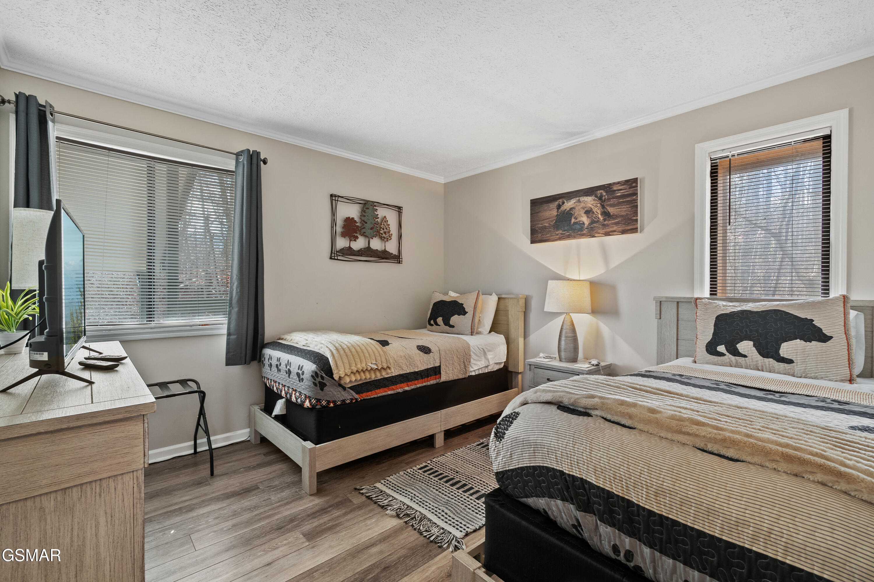 1102 Ski View Gatlinburg TN 37738