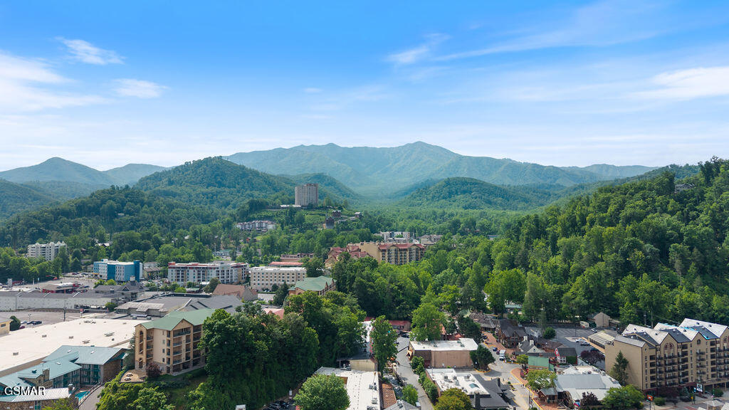 685 River Road Gatlinburg TN 37738