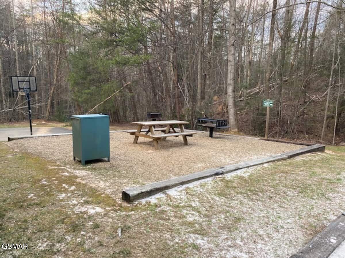 3710 Weber Road Gatlinburg TN 37738
