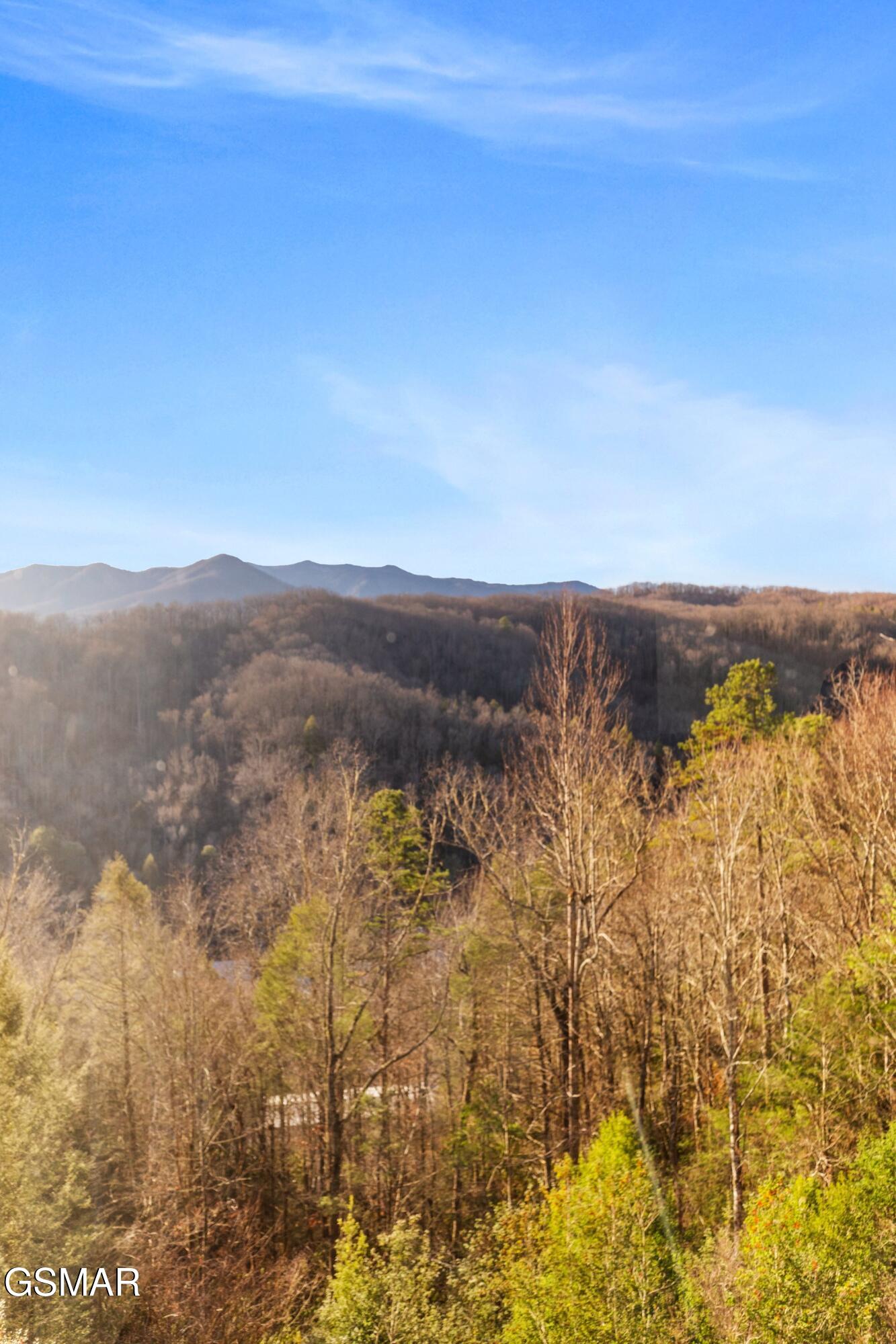 1704 Hidden Hills Road 504 Gatlinburg TN 37738
