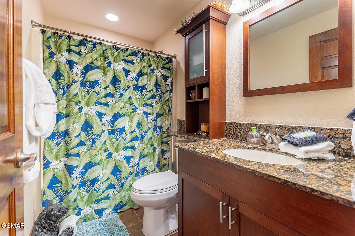 410 Big Bear Way Pigeon Forge TN 37863