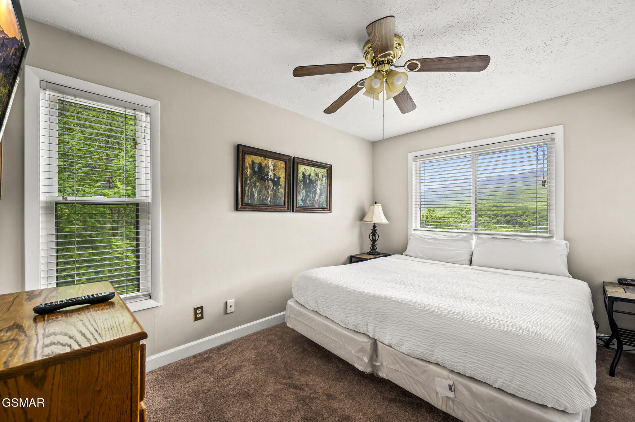 3710 Weber Road Gatlinburg TN 37738