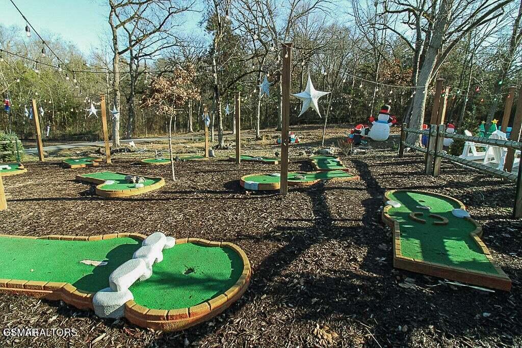 225 Collier Drive Unit 3406 Sevierville TN 37862