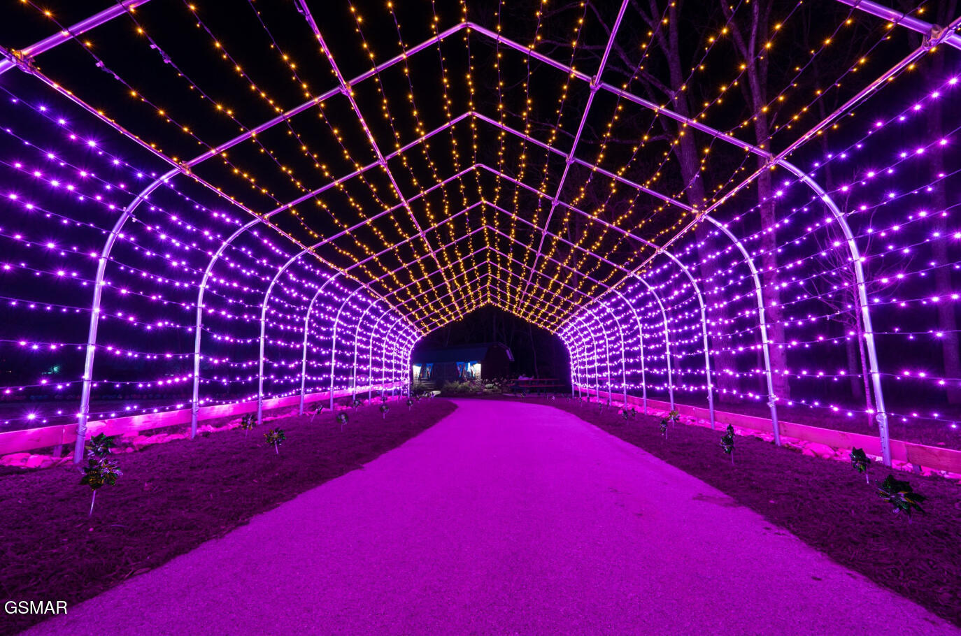 225 Collier Drive Unit 3406 Sevierville TN 37862