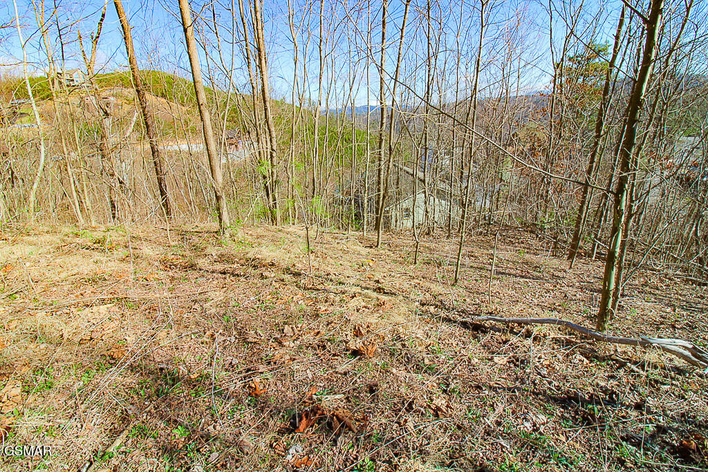 414 Red Hawk Way Gatlinburg TN 37738