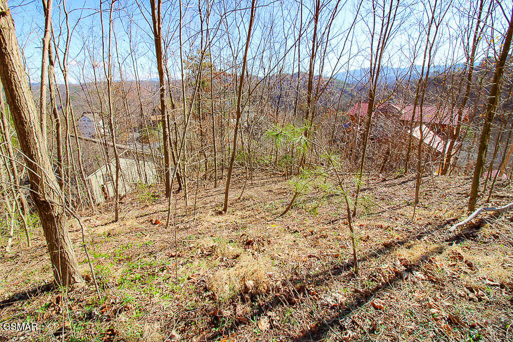 414 Red Hawk Way Gatlinburg TN 37738