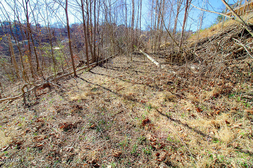 414 Red Hawk Way Gatlinburg TN 37738
