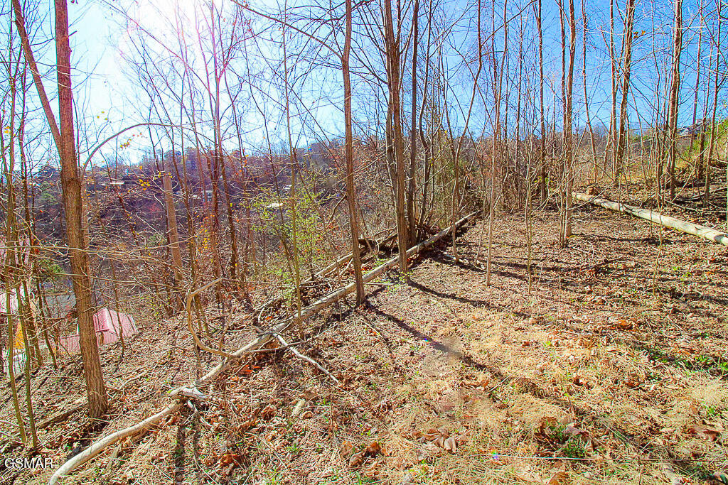 414 Red Hawk Way Gatlinburg TN 37738