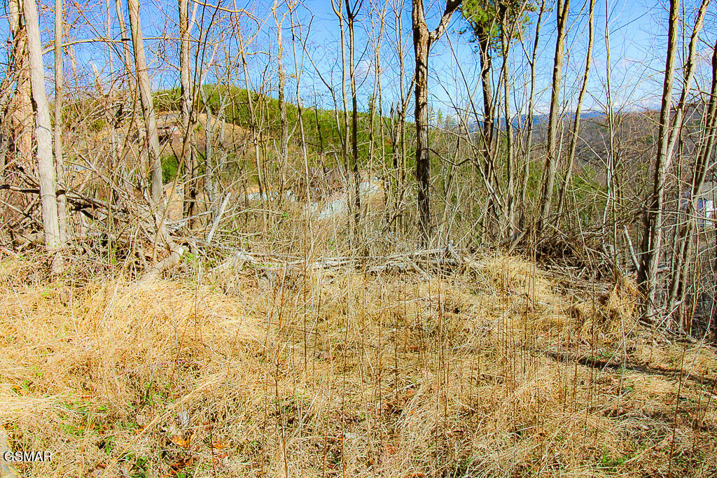 414 Red Hawk Way Gatlinburg TN 37738