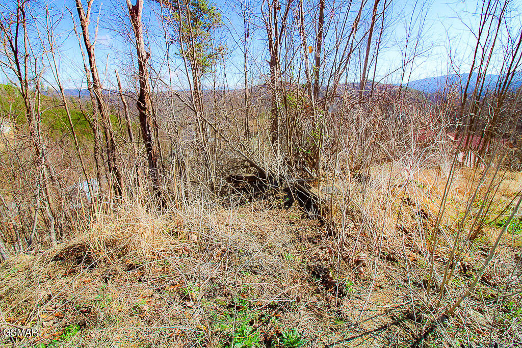 414 Red Hawk Way Gatlinburg TN 37738