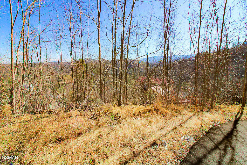 414 Red Hawk Way Gatlinburg TN 37738