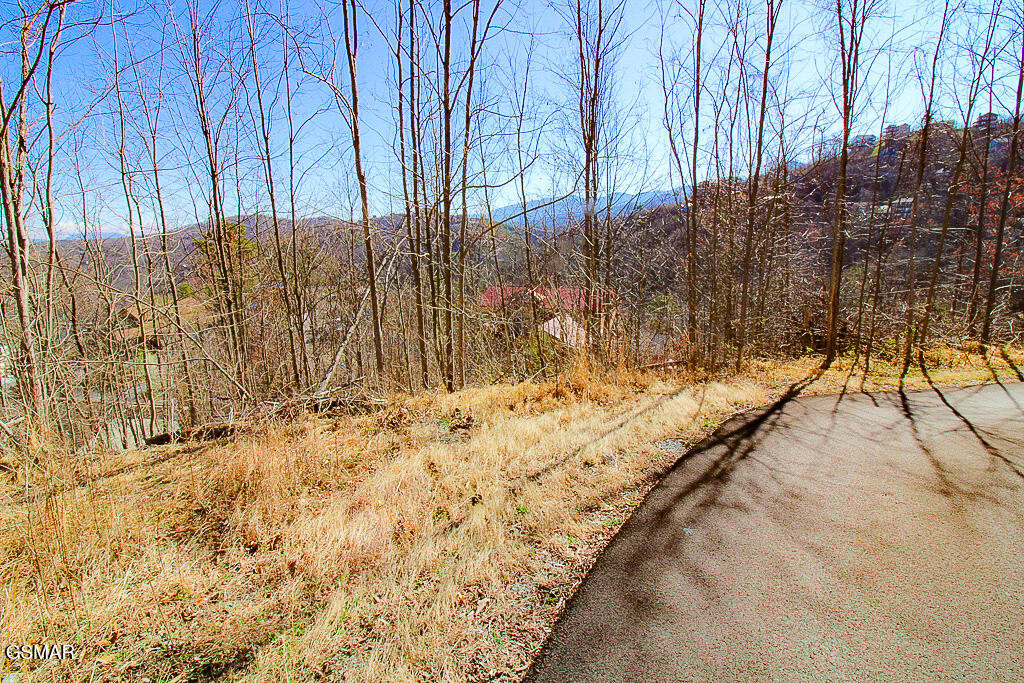 414 Red Hawk Way Gatlinburg TN 37738