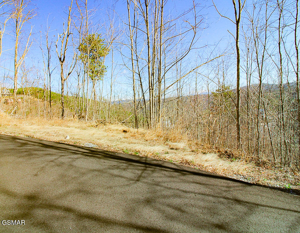 414 Red Hawk Way Gatlinburg TN 37738