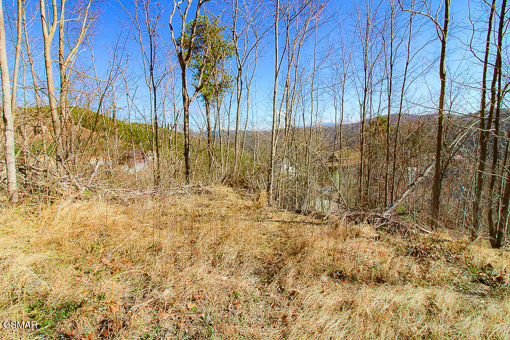 414 Red Hawk Way Gatlinburg TN 37738
