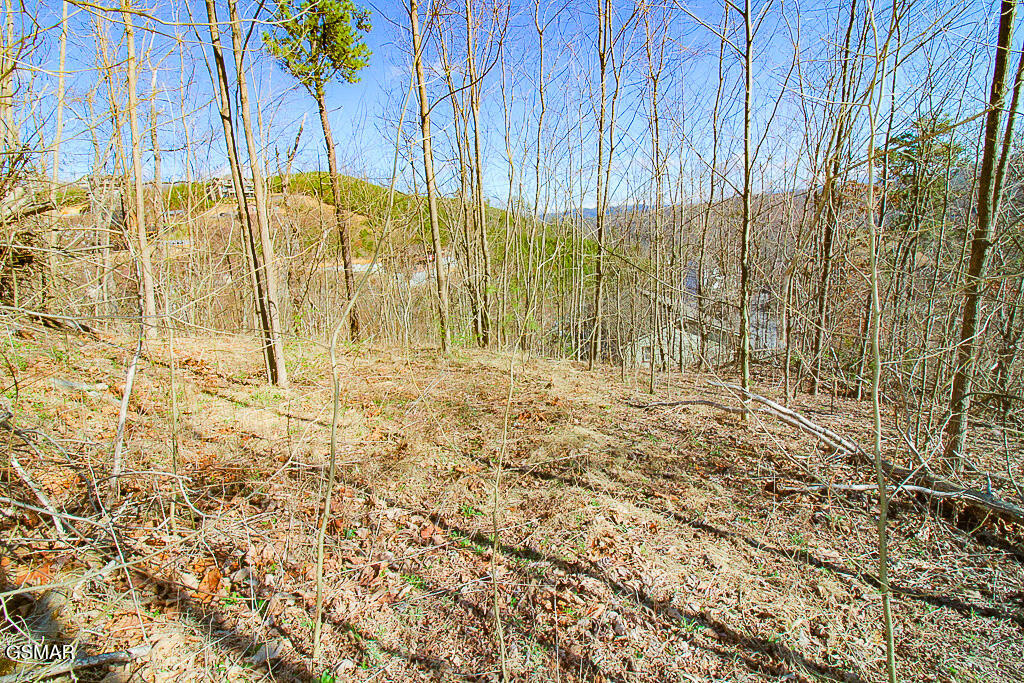 414 Red Hawk Way Gatlinburg TN 37738