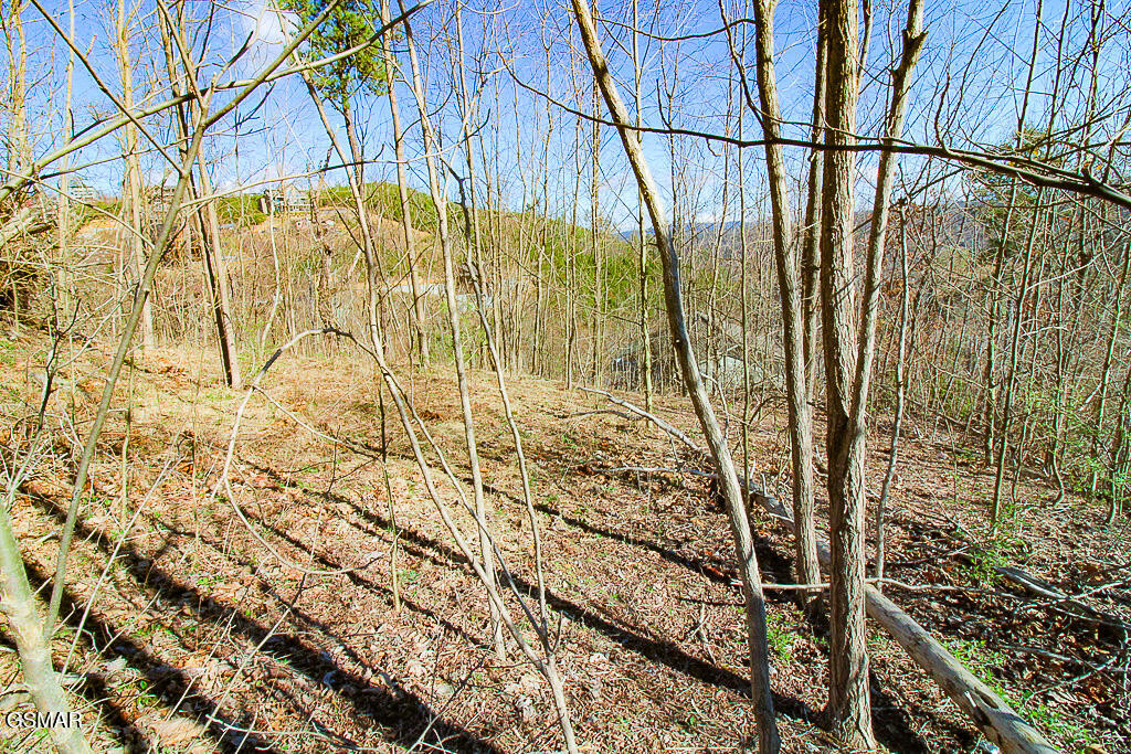 414 Red Hawk Way Gatlinburg TN 37738