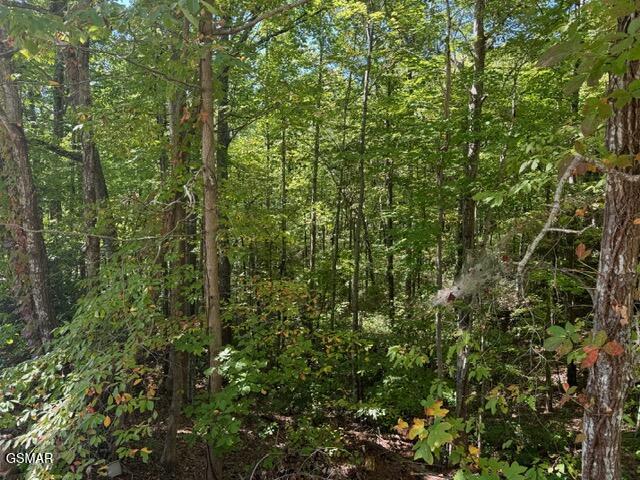 Lot 17 Deer Path Lane Gatlinburg TN 37738