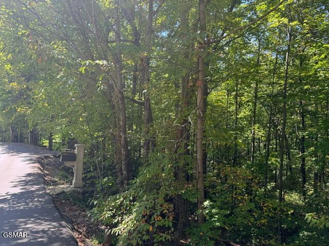 Lot 17 Deer Path Lane Gatlinburg TN 37738