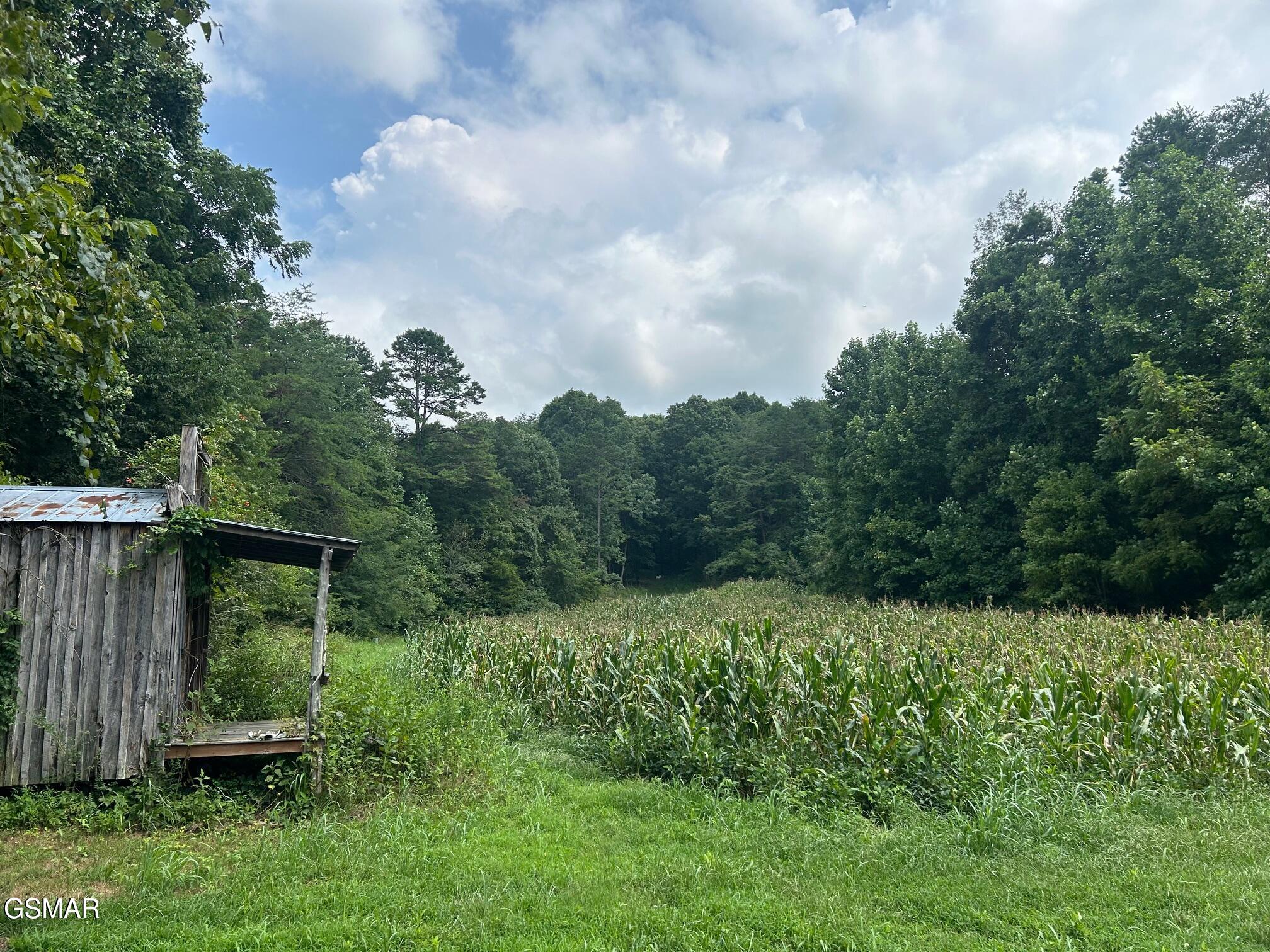 Tract 17 Pleasant View Cemetery Road New Market TN 37820