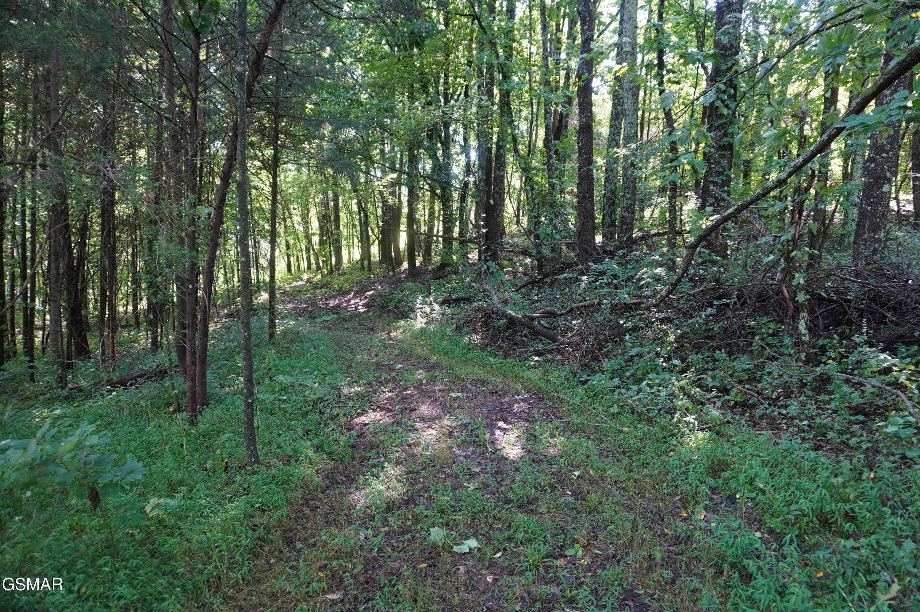 Tract 17 Pleasant View Cemetery Road New Market TN 37820