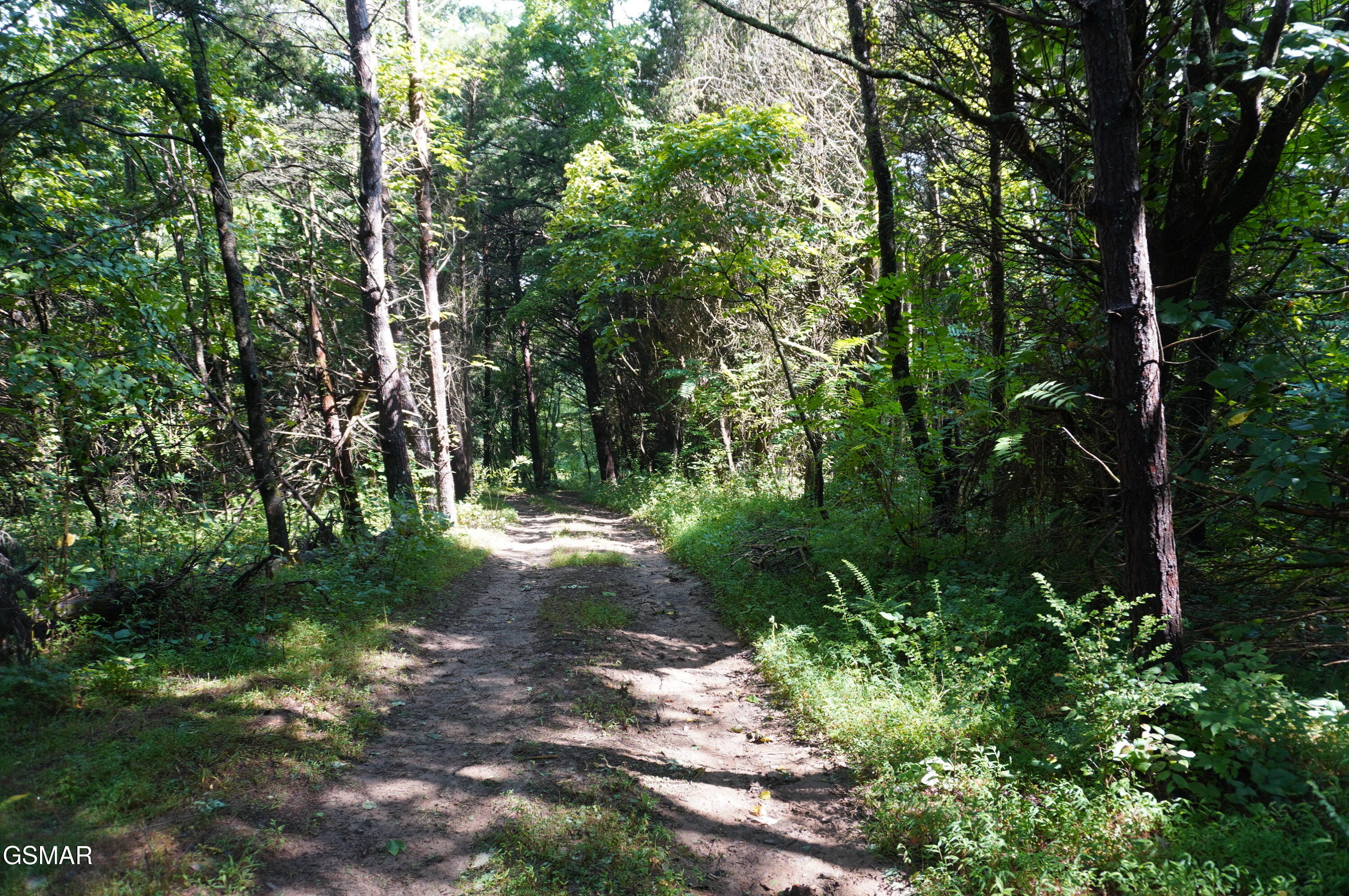 Tract 17 Pleasant View Cemetery Road New Market TN 37820