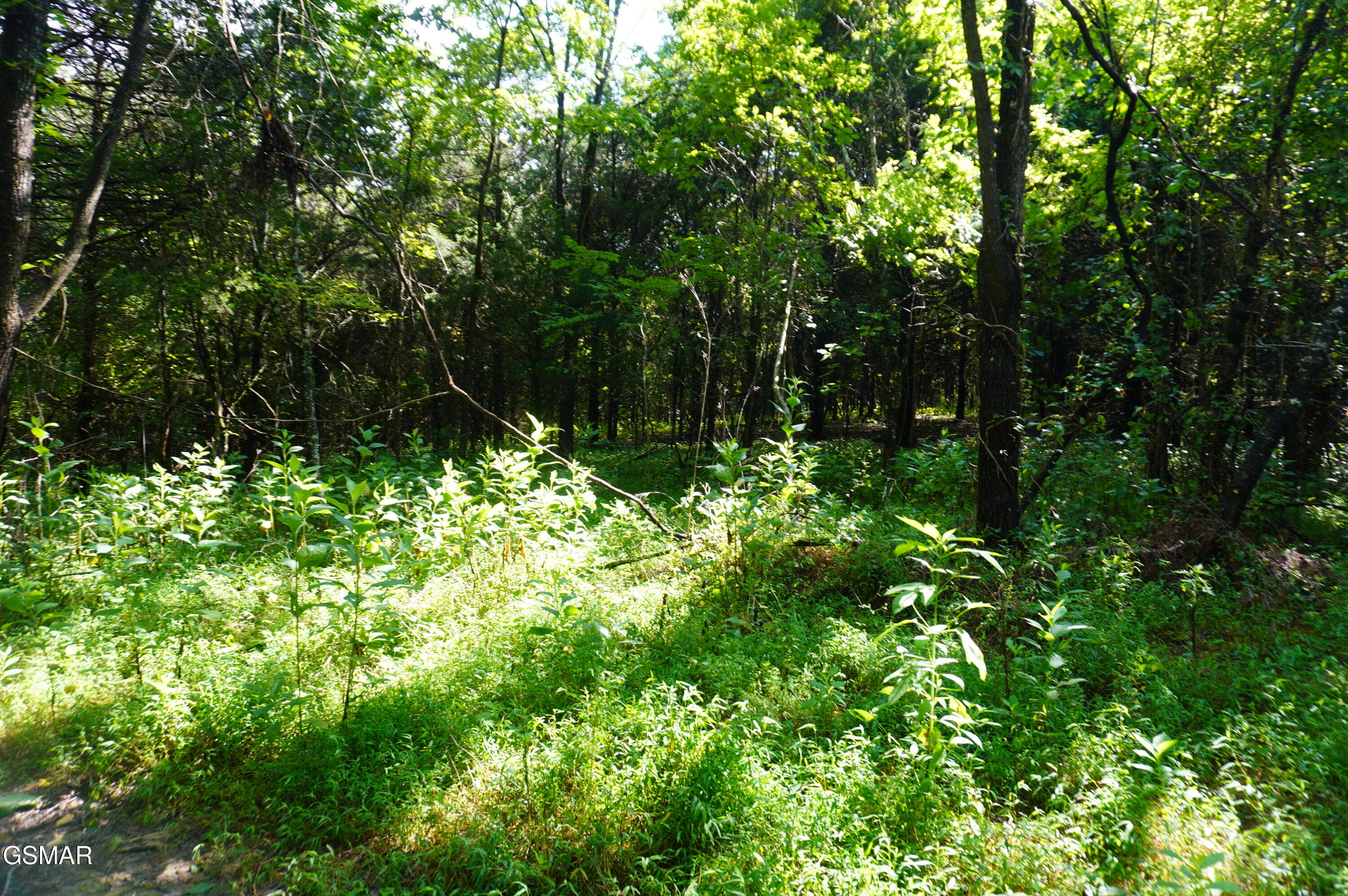 Tract 17 Pleasant View Cemetery Road New Market TN 37820