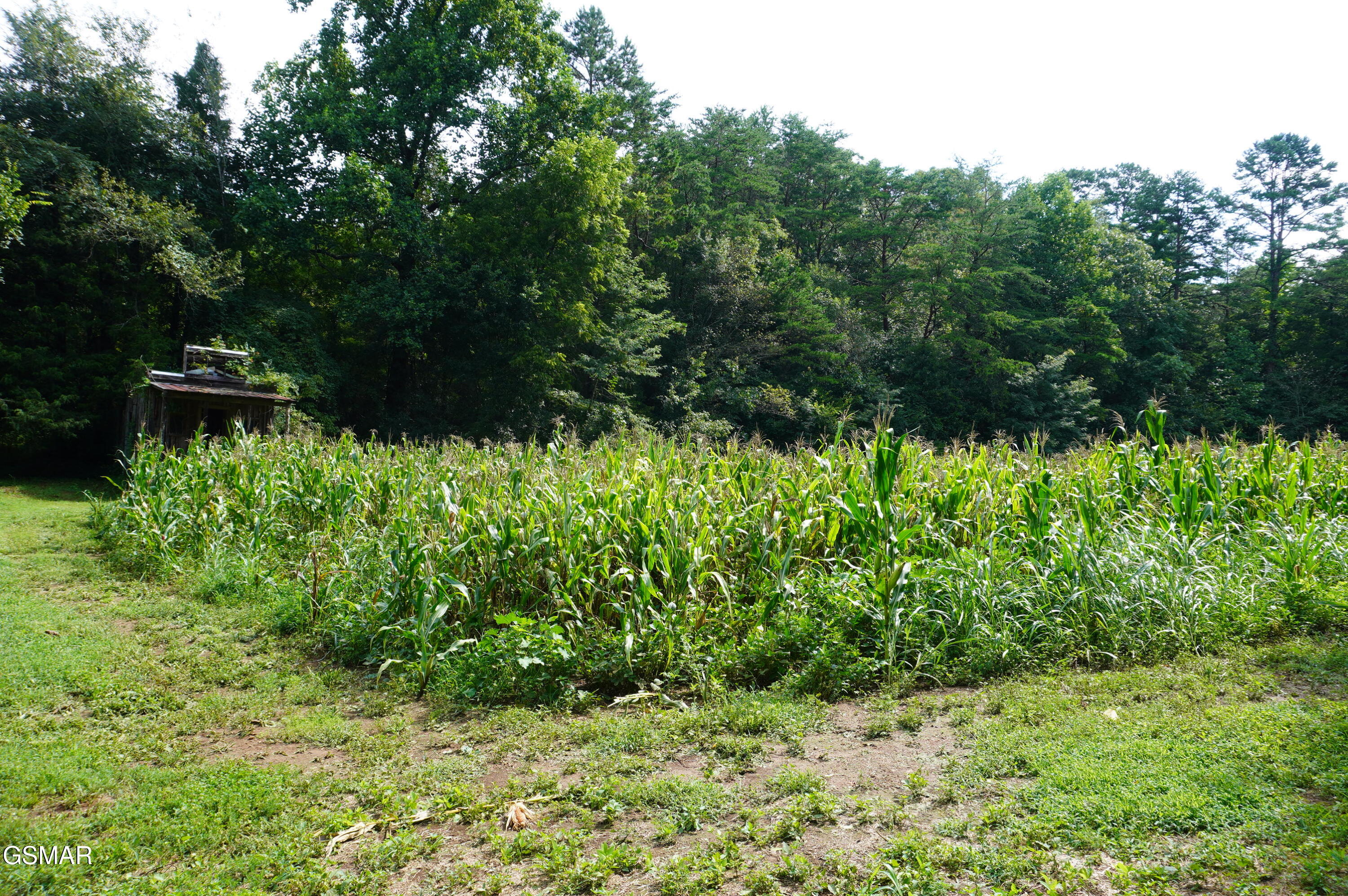 Tract 17 Pleasant View Cemetery Road New Market TN 37820