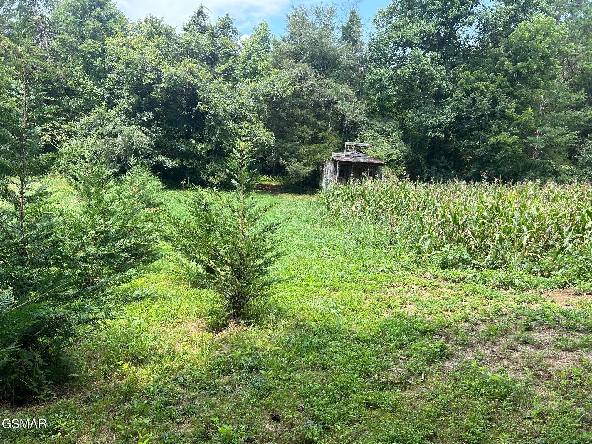 Tract 17 Pleasant View Cemetery Road New Market TN 37820