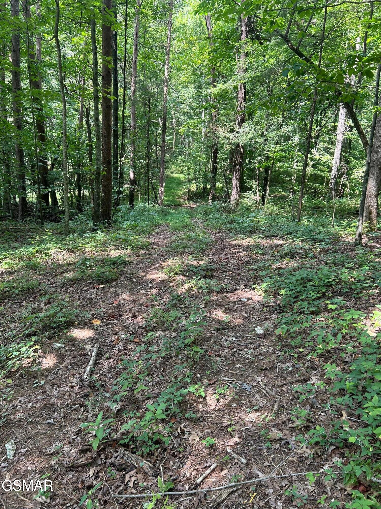 Tract 17 Pleasant View Cemetery Road New Market TN 37820
