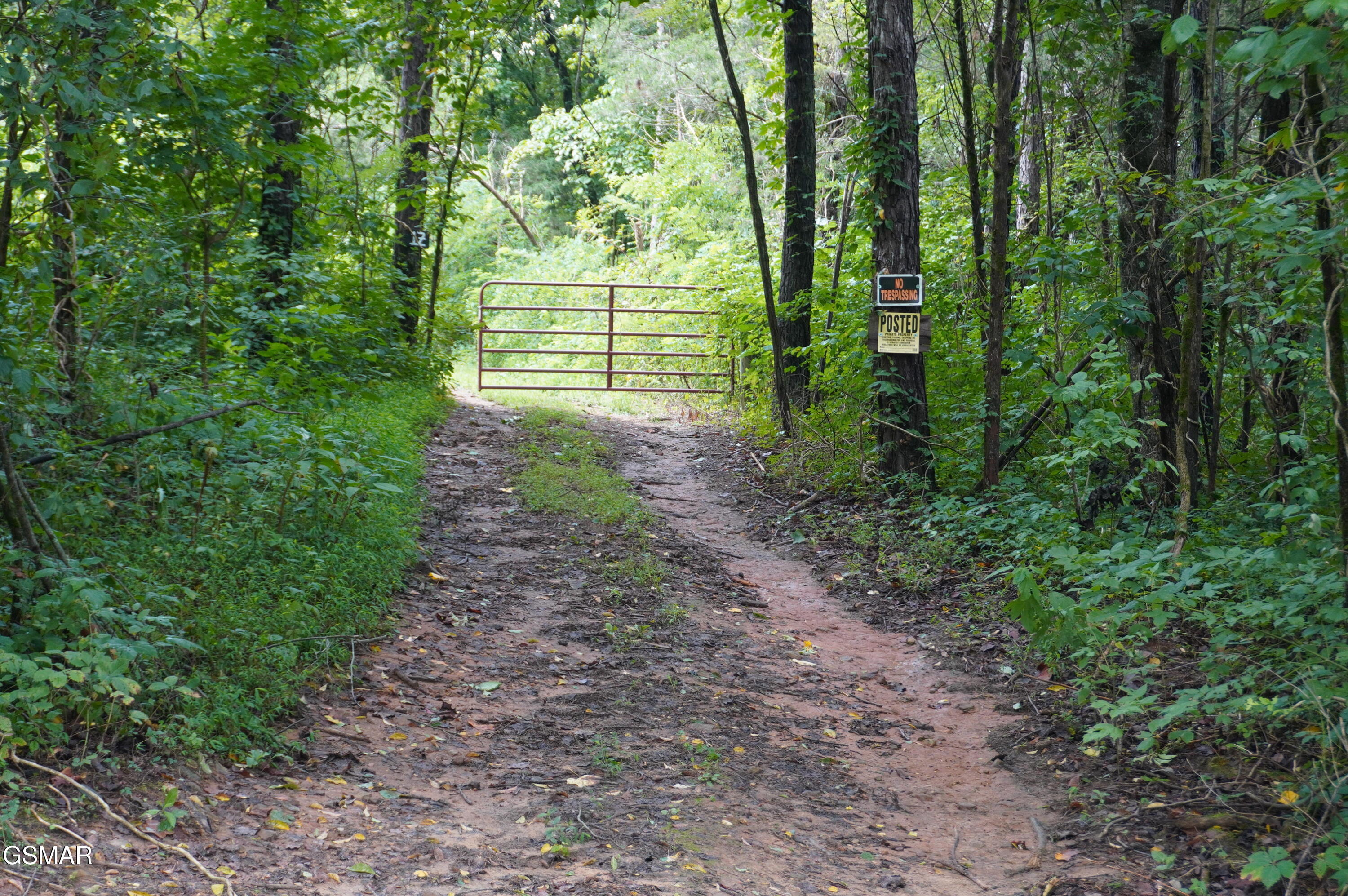 Tract 17 Pleasant View Cemetery Road New Market TN 37820