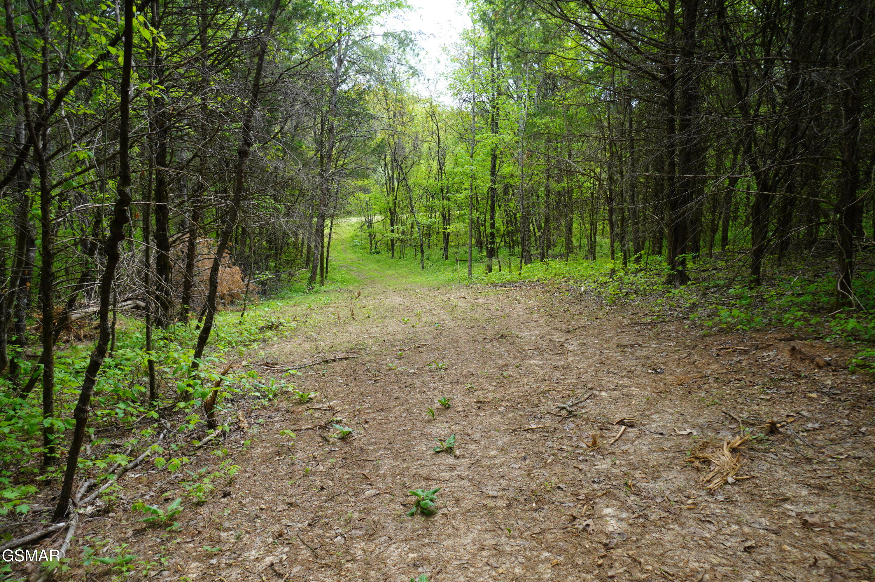 Tract 17 Pleasant View Cemetery Road New Market TN 37820