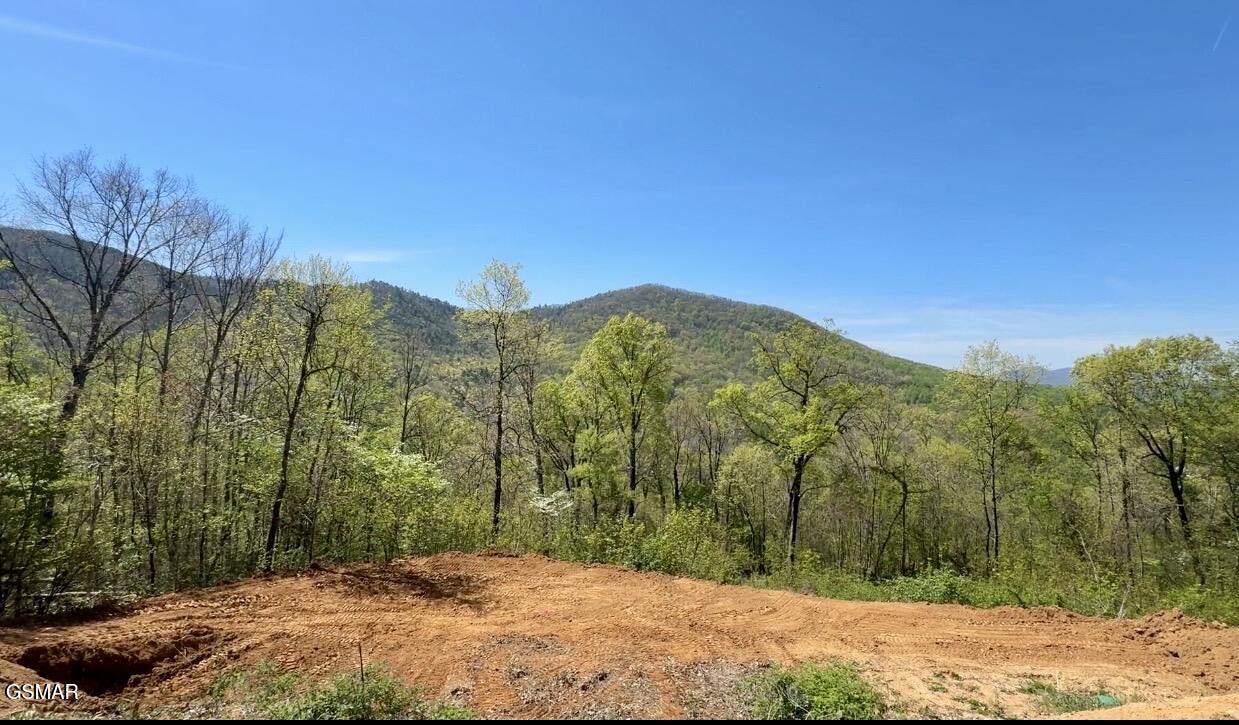 520 Stevia Way Cosby TN 37722